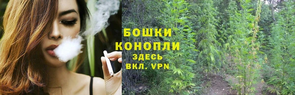 дживик Инсар