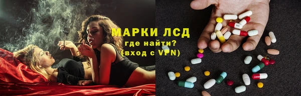 ПСИЛОЦИБИНОВЫЕ ГРИБЫ Заволжск