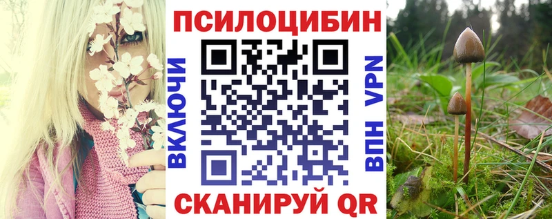 Галлюциногенные грибы ЛСД  Купить закладки  Кингисепп 